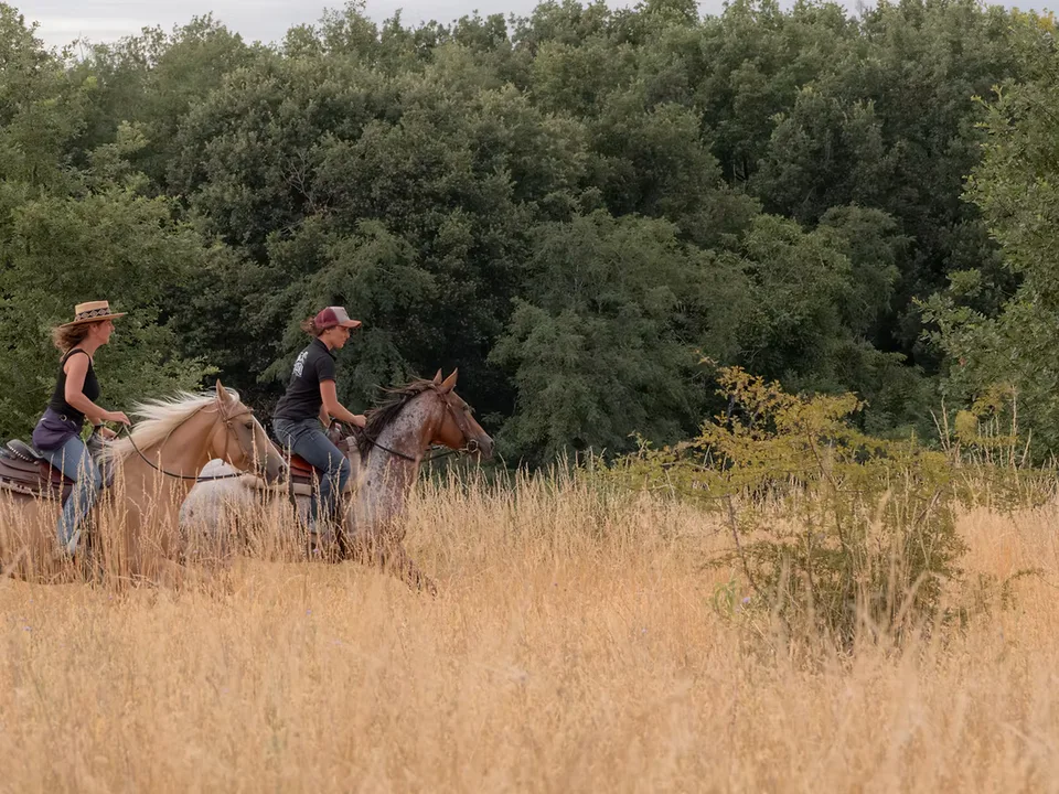 Balade à cheval dans les environs de Juigné-sur-Loire